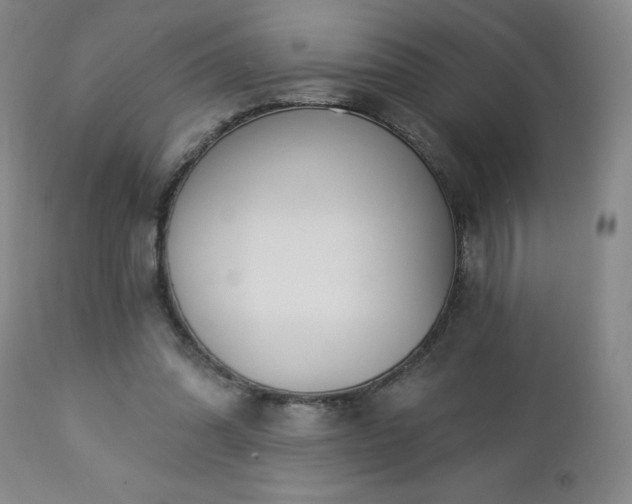 X0000112460302200908241305