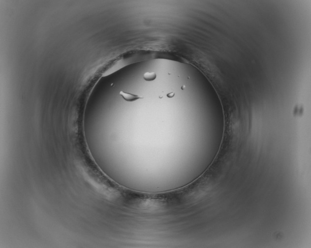 X0000112460303200908241305