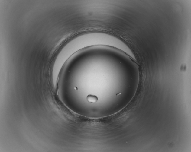 X0000112460304200908241305