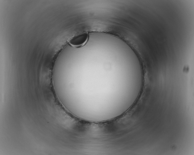 X0000112460305200908241305