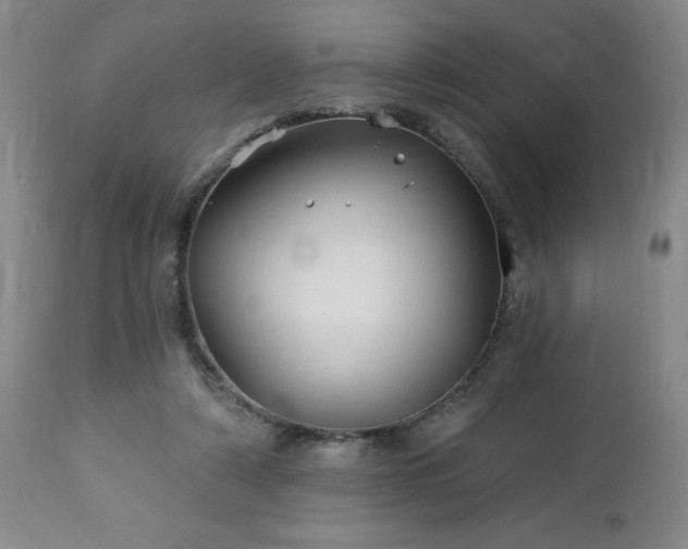 X0000112460306200908241305