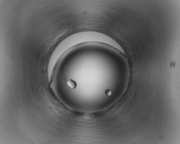 X0000112460308200908241305