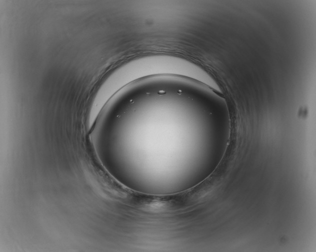 X0000112460312200908241305