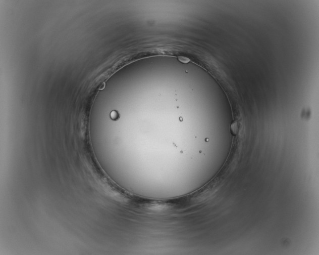 X0000112460313200908241305