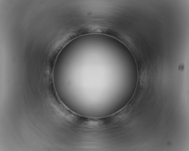 X0000112460314200908241305