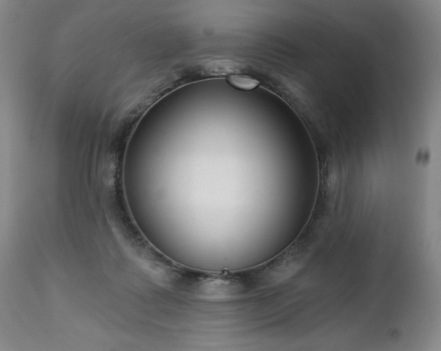 X0000112460315200908241305