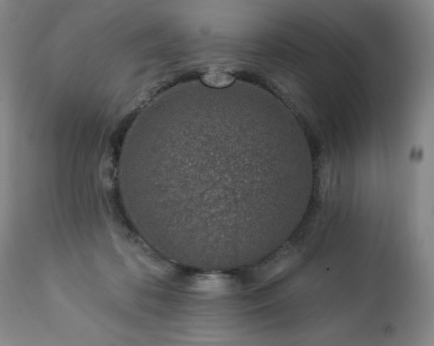 X0000112460316200908241305