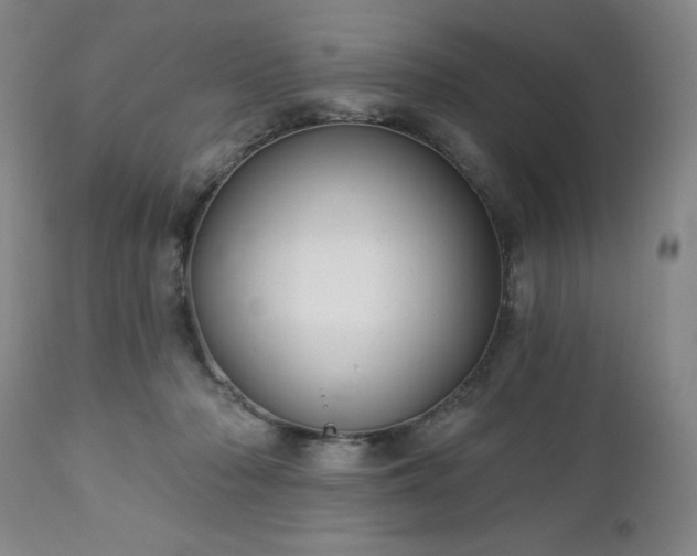 X0000112460318200908241305