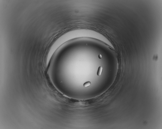 X0000112460320200908241305