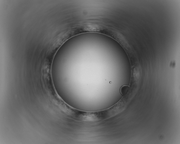 X0000112460322200908241305