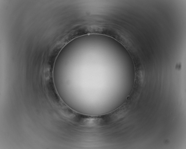 X0000112460323200908241305