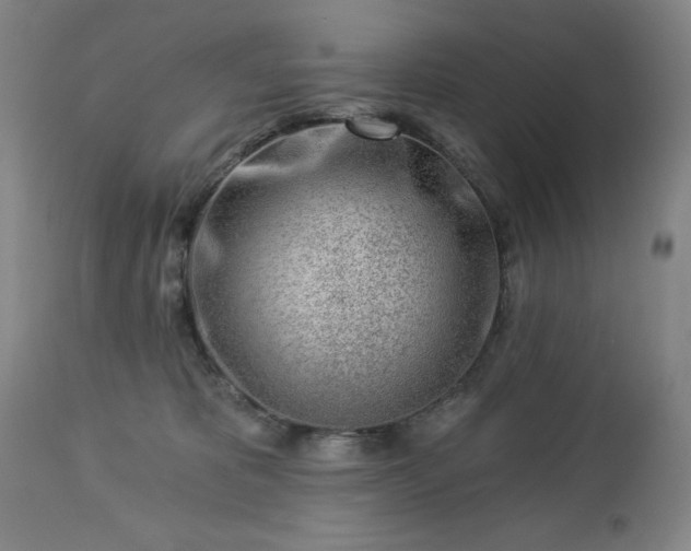 X0000112460325200908241305