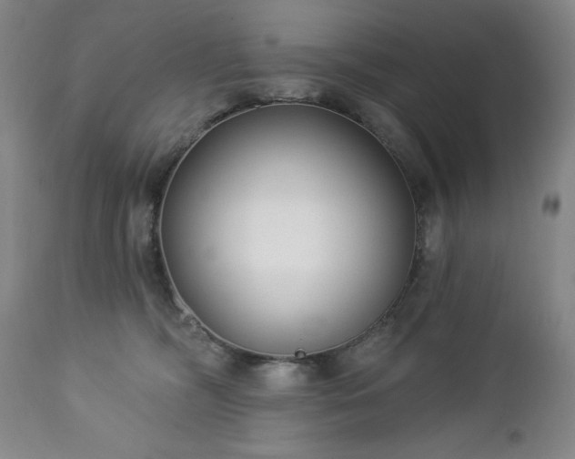 X0000112460326200908241305