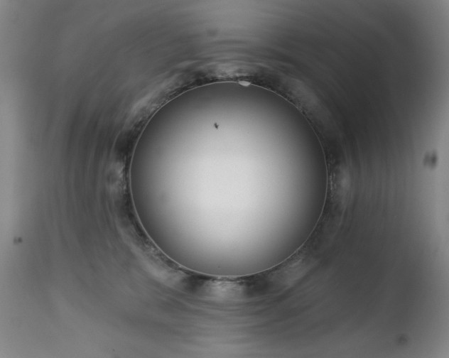 X0000112460327200908241305