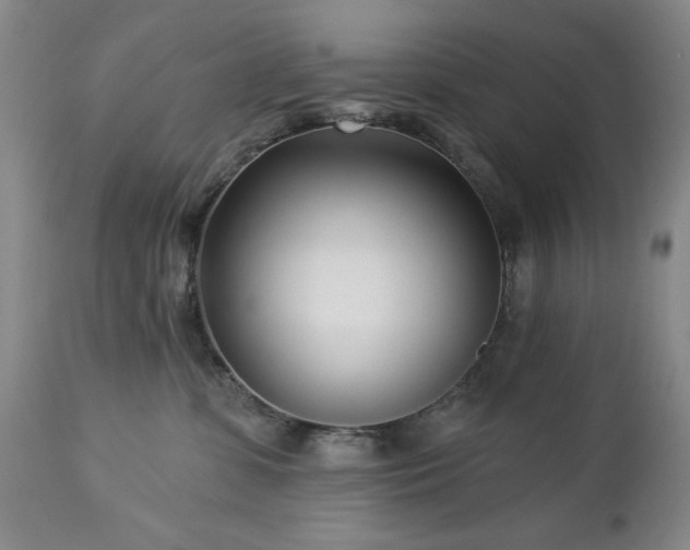 X0000112460331200908241305