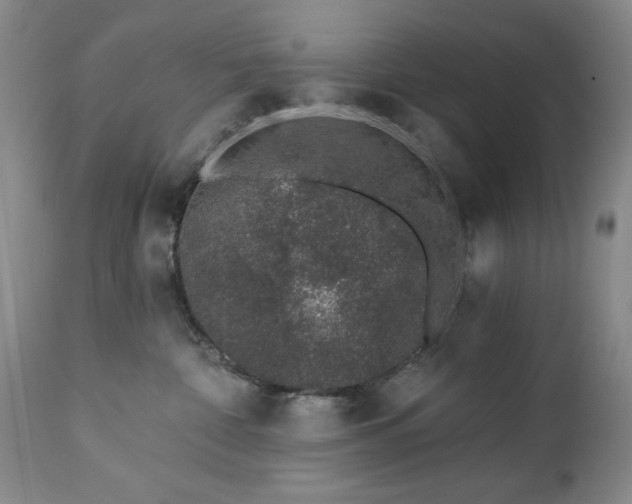 X0000112460332200908241305