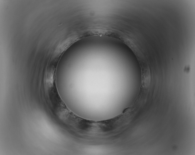 X0000112460334200908241305