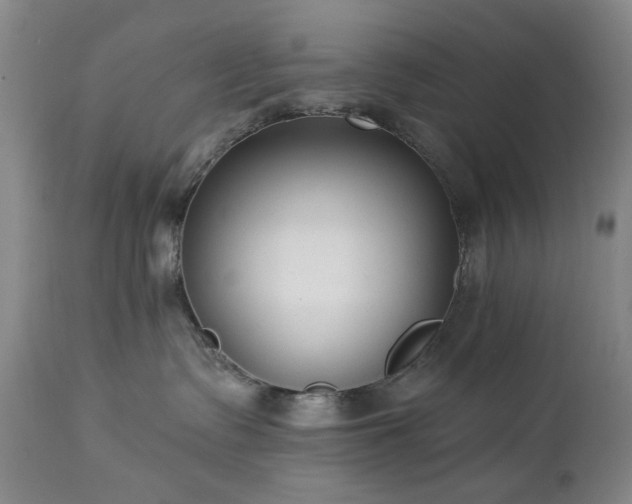 X0000112460335200908241305