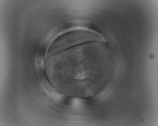 X0000112460336200908241305