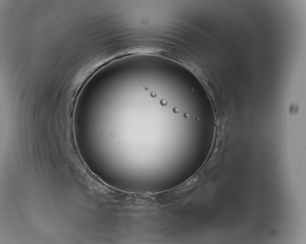 X0000112460337200908241304