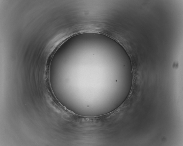 X0000112460338200908241304