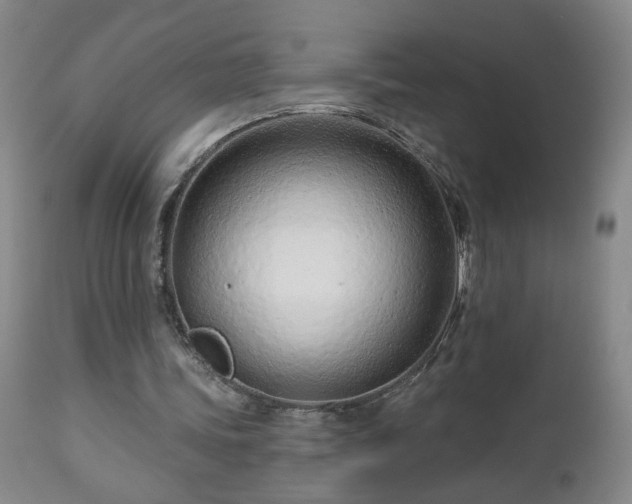 X0000112460339200908241304