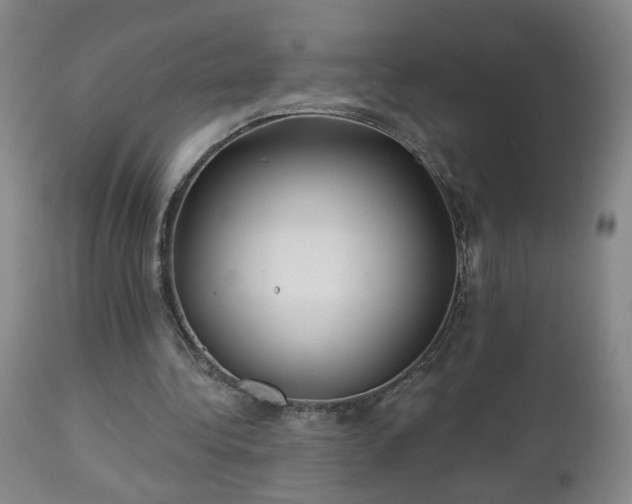 X0000112460340200908241304