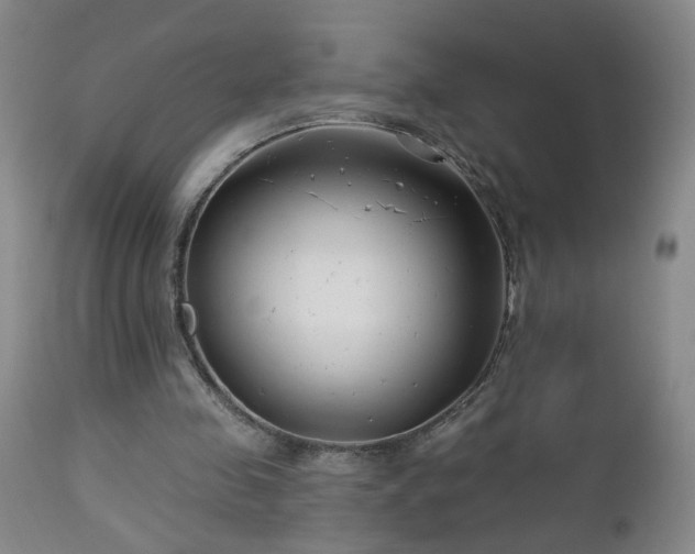 X0000112460341200908241304