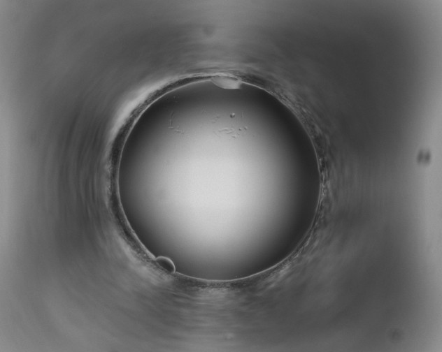 X0000112460342200908241304