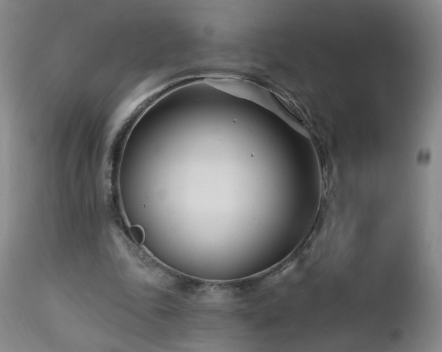 X0000112460343200908241304