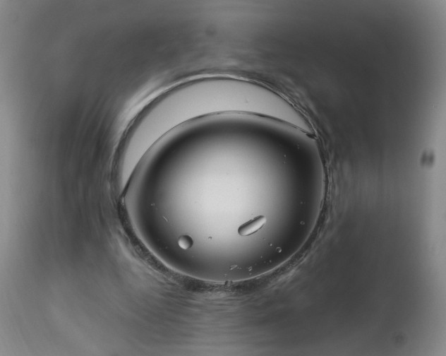 X0000112460344200908241304