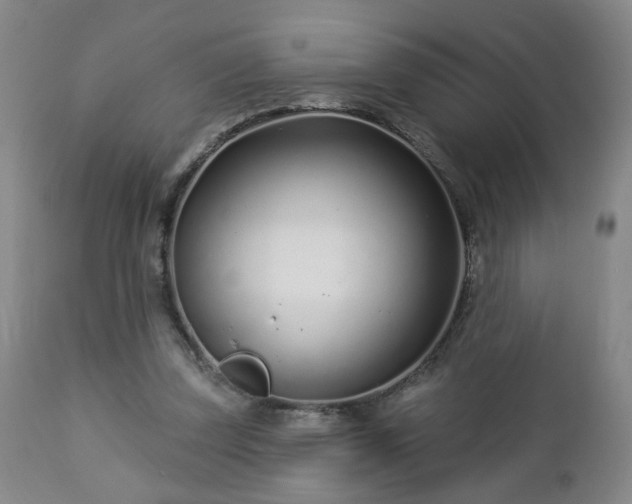 X0000112460347200908241304