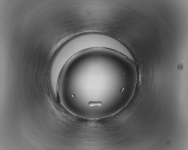 X0000112460348200908241304