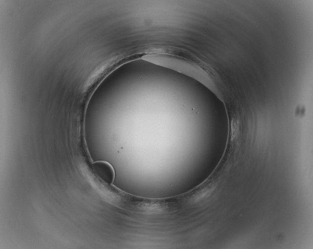 X0000112460349200908241304