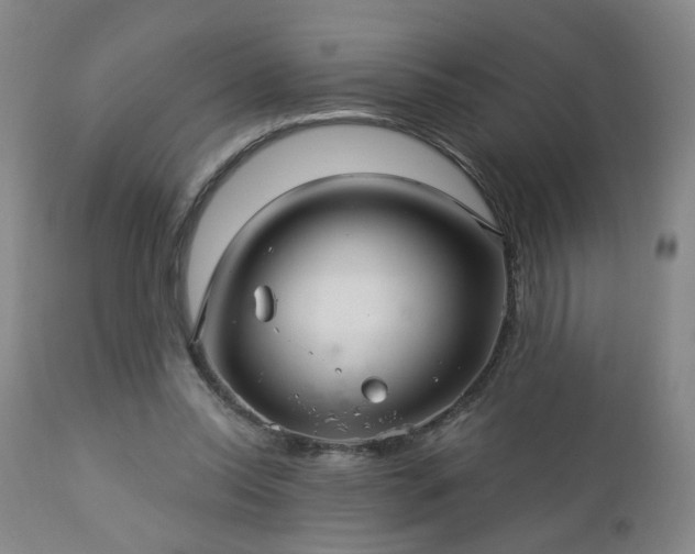 X0000112460350200908241304