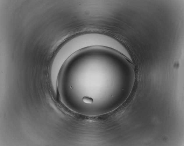 X0000112460352200908241304