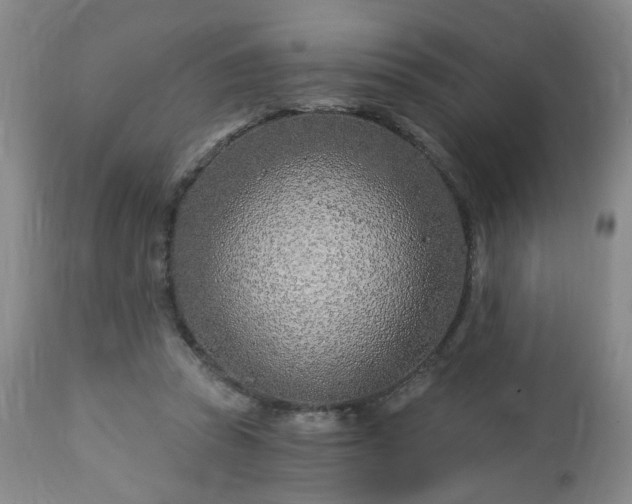 X0000112460353200908241304