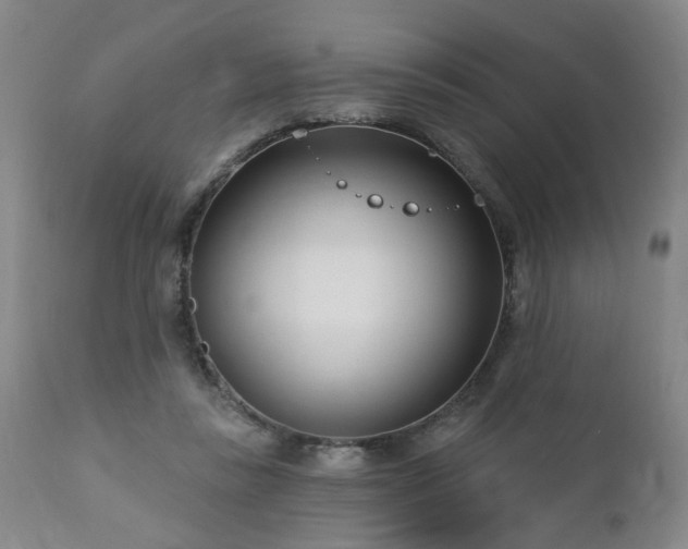 X0000112460355200908241304