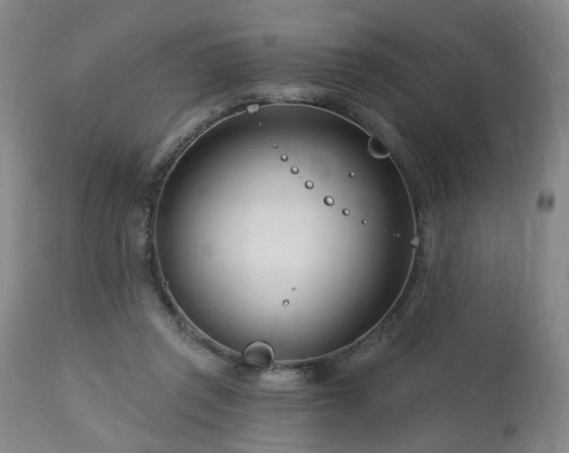 X0000112460357200908241304