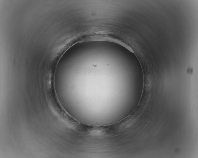 X0000112460358200908241304