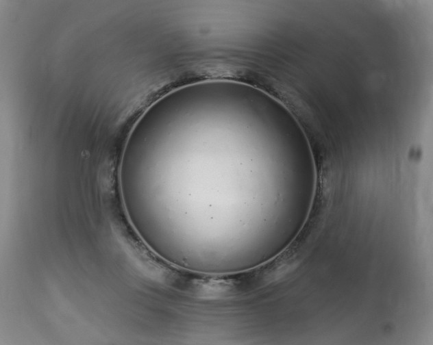 X0000112460359200908241304