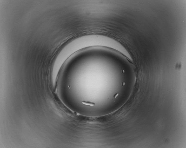 X0000112460360200908241304