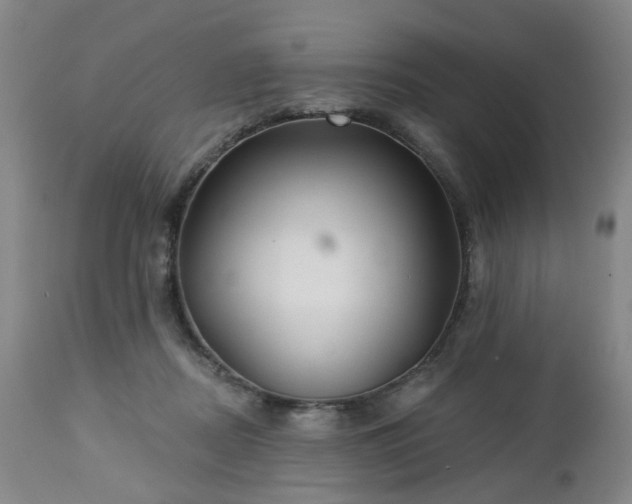 X0000112460362200908241304