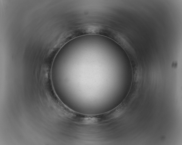 X0000112460363200908241304