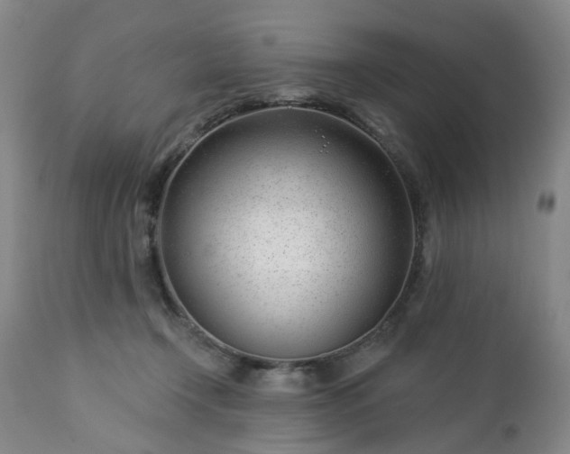 X0000112460366200908241304