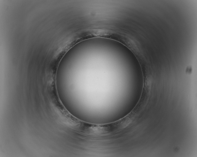 X0000112460367200908241304