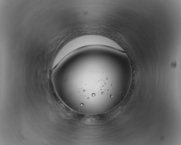 X0000112460368200908241304