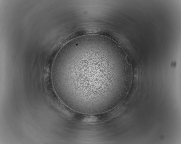 X0000112460369200908241304