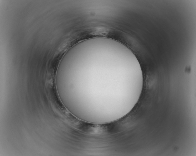 X0000112460370200908241304