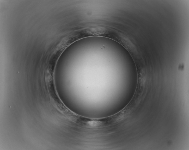 X0000112460371200908241304